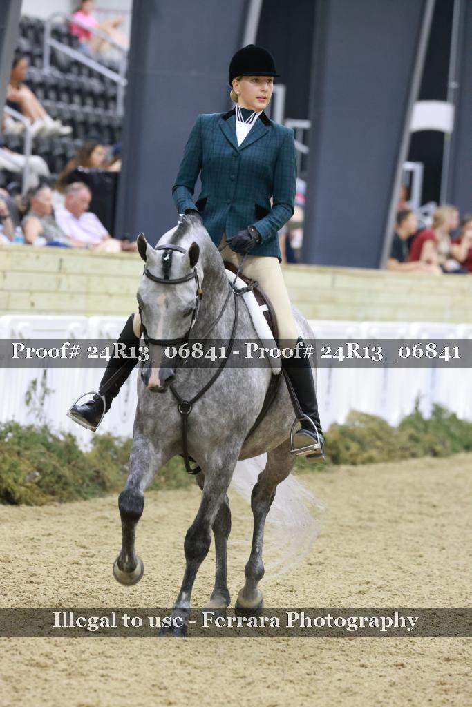 Proof 24R13_06841