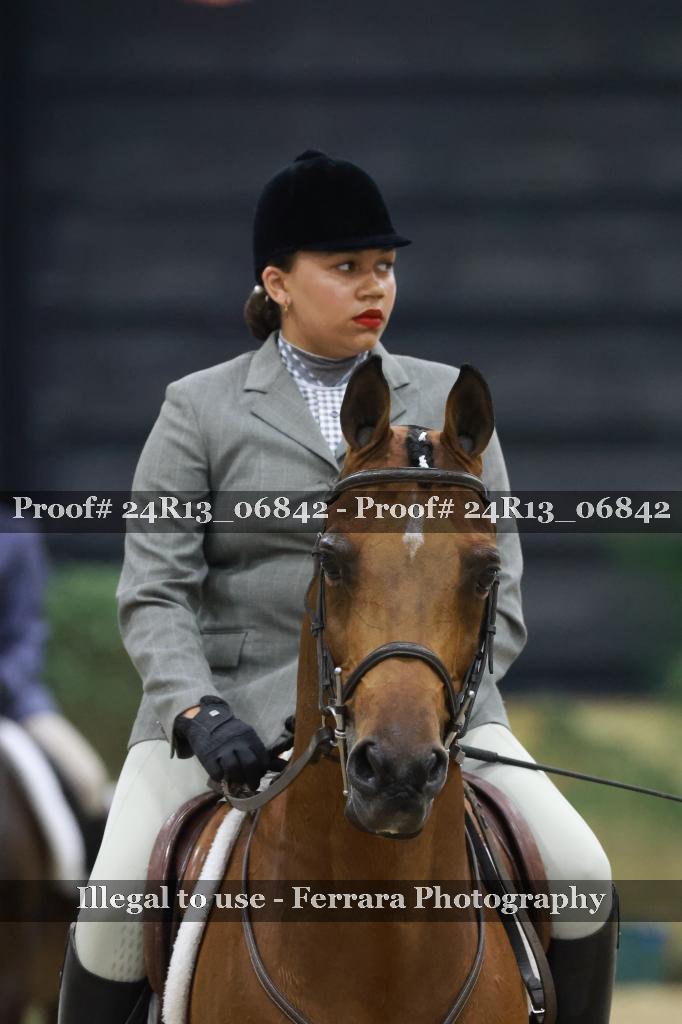 Proof 24R13_06842