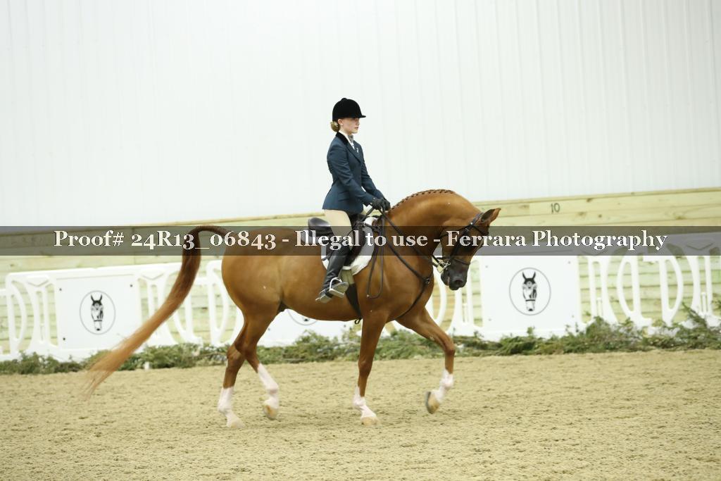 Proof 24R13_06843