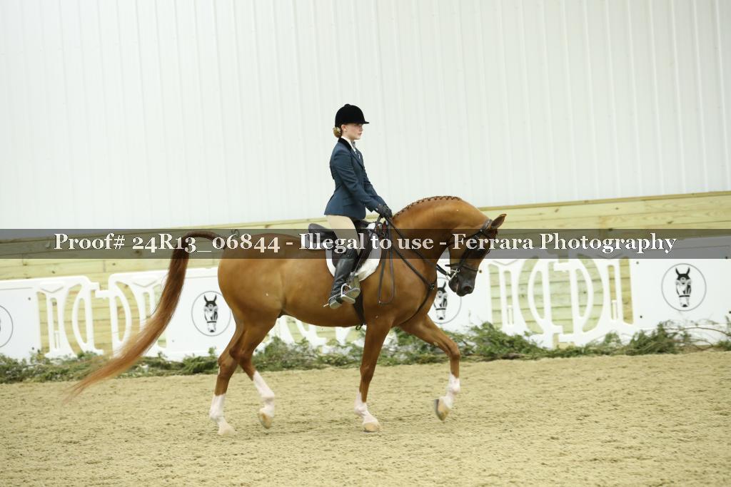 Proof 24R13_06844