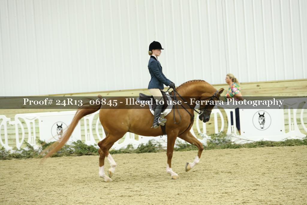 Proof 24R13_06845