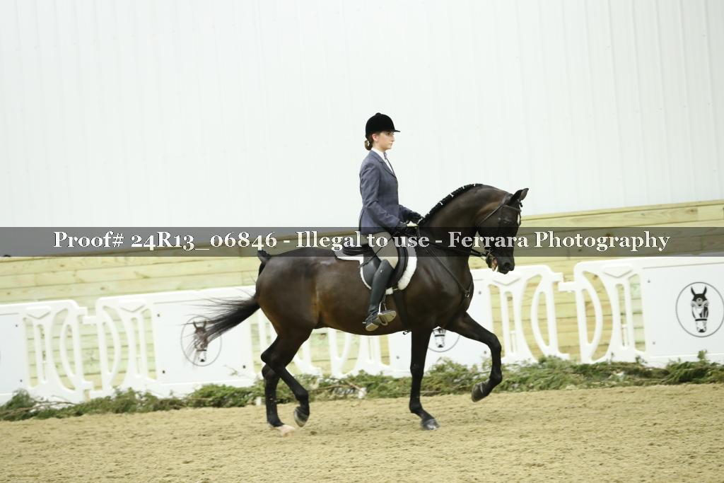 Proof 24R13_06846