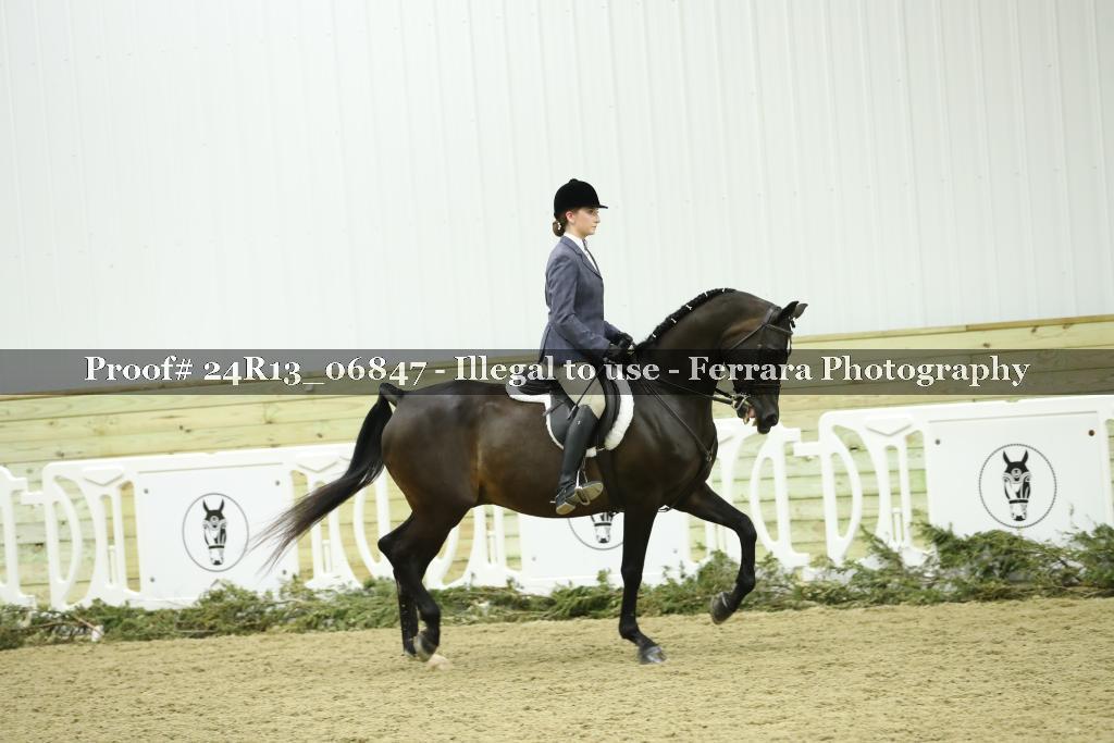 Proof 24R13_06847