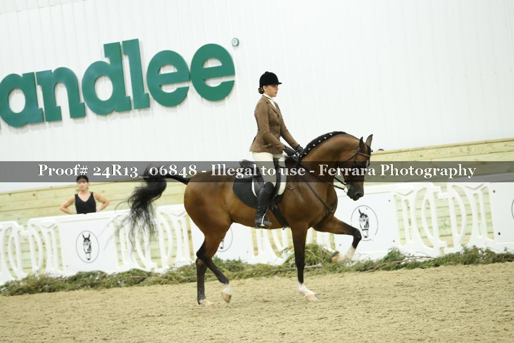 Proof 24R13_06848