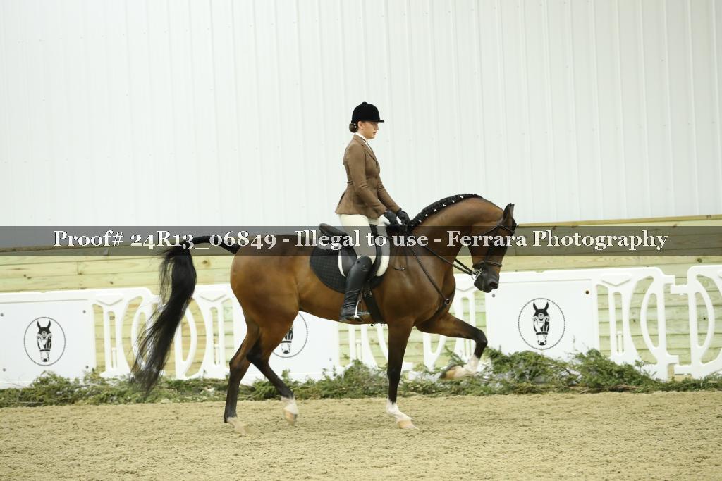 Proof 24R13_06849