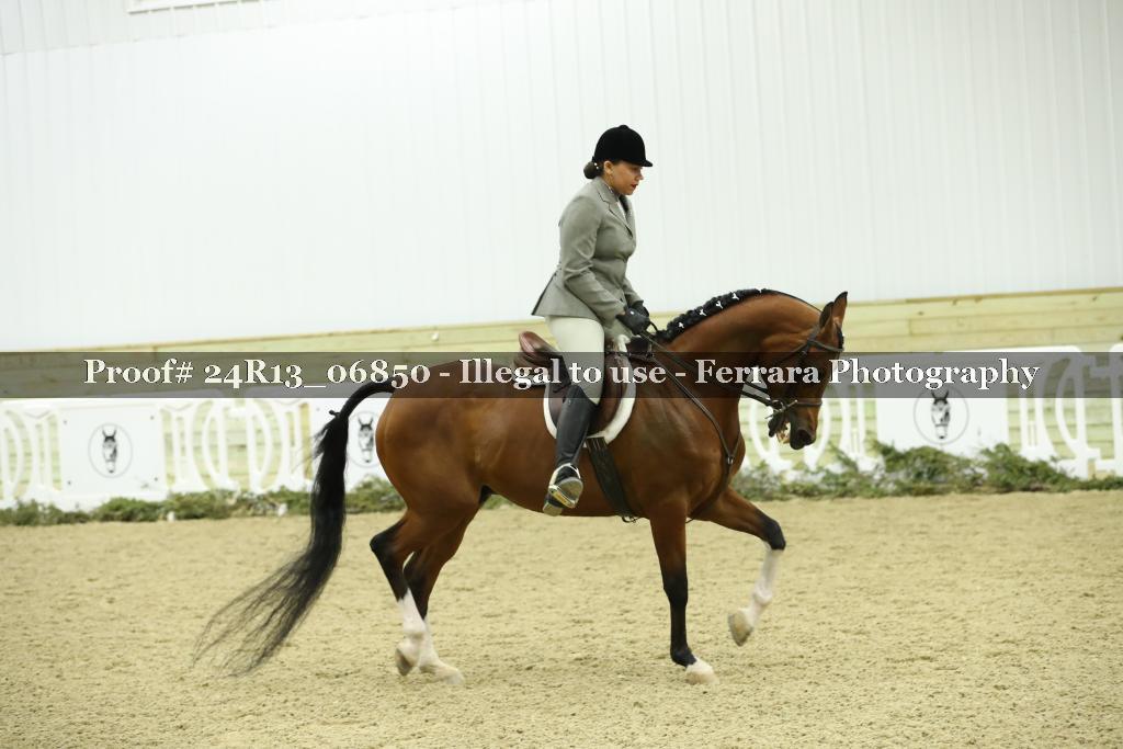 Proof 24R13_06850