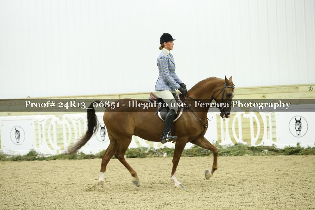 Proof 24R13_06851
