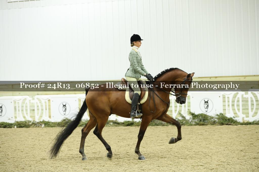 Proof 24R13_06852