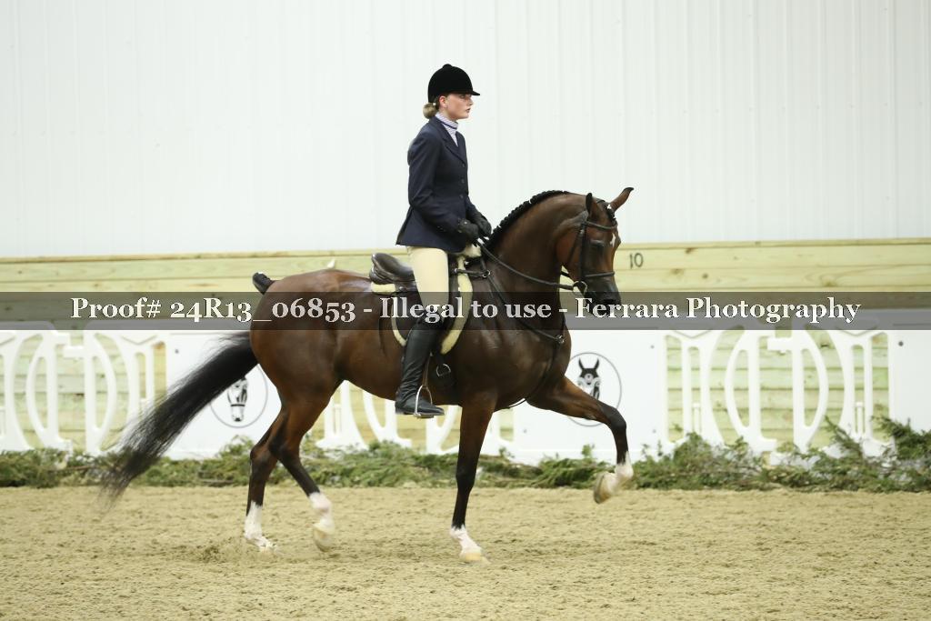 Proof 24R13_06853