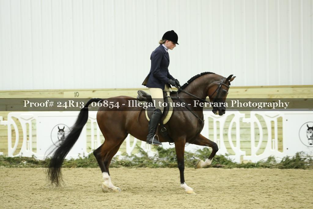 Proof 24R13_06854