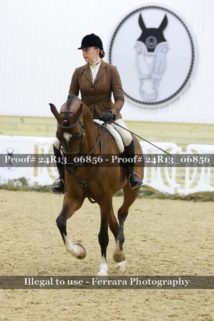Proof 24R13_06856