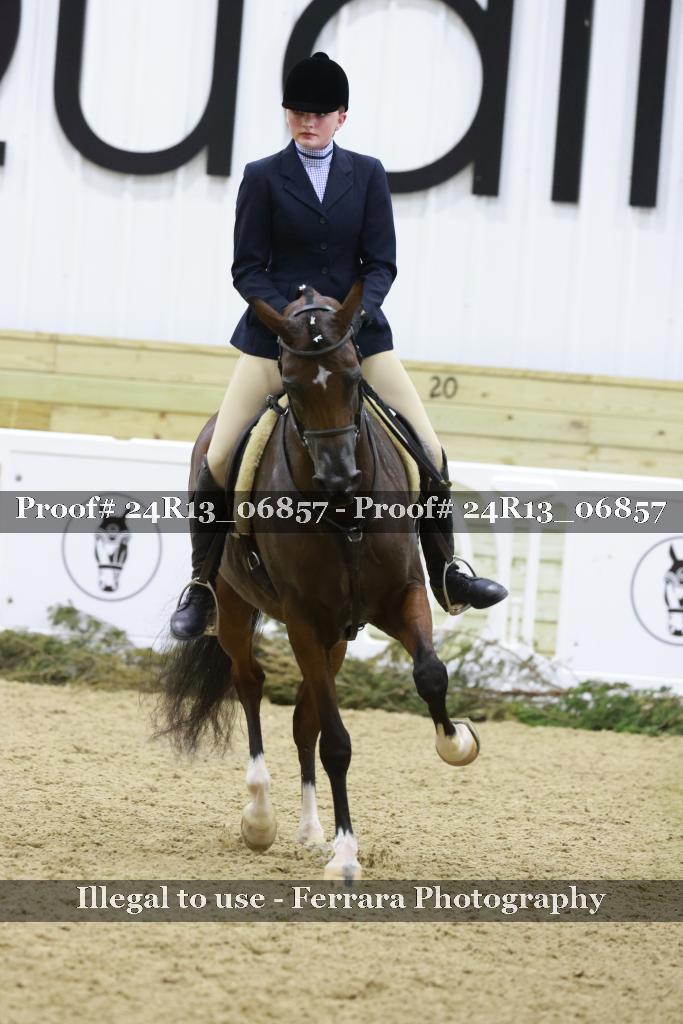 Proof 24R13_06857