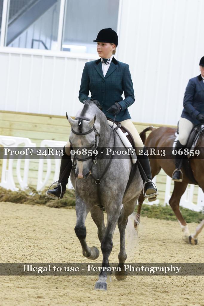 Proof 24R13_06859