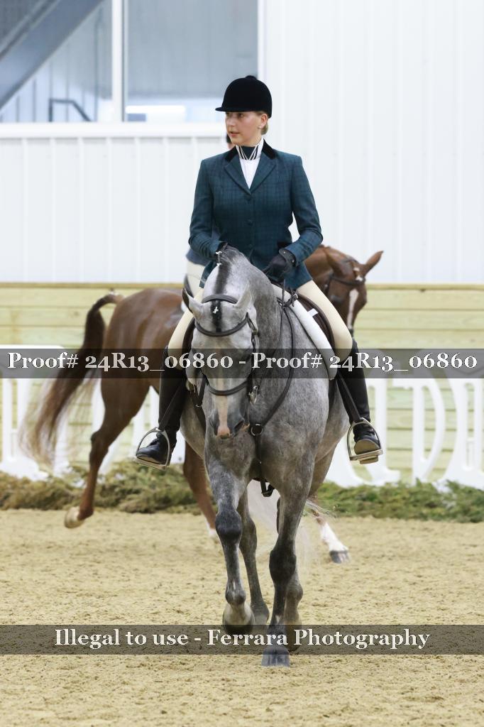 Proof 24R13_06860