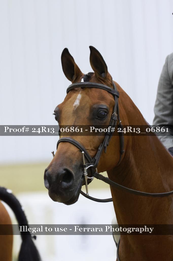 Proof 24R13_06861