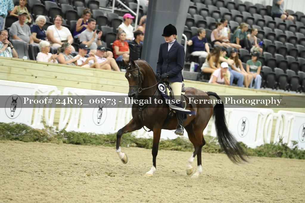 Proof 24R13_06873