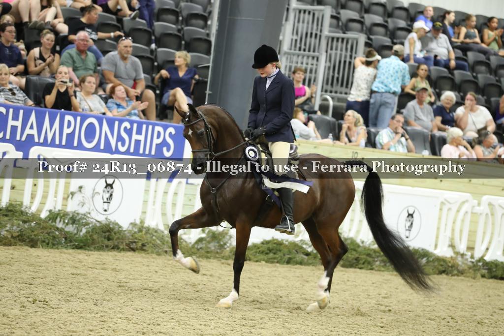 Proof 24R13_06874