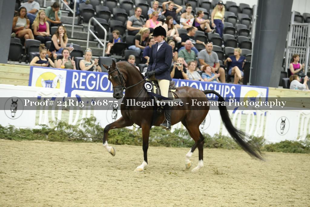 Proof 24R13_06875