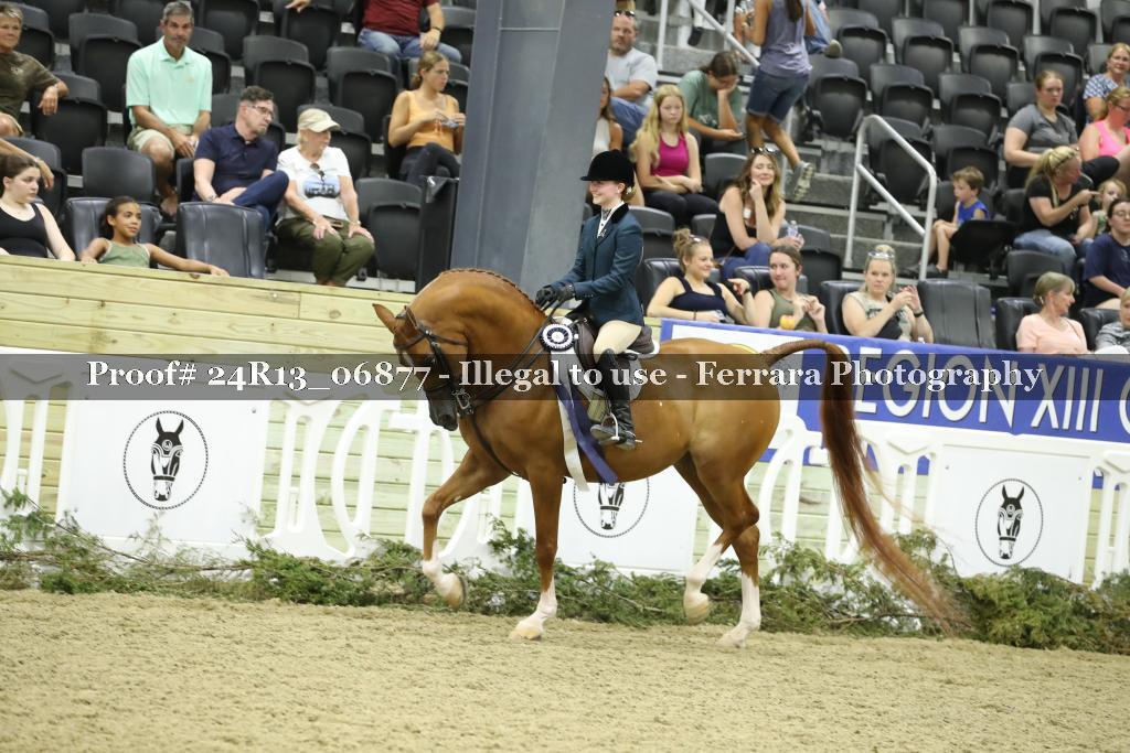 Proof 24R13_06877