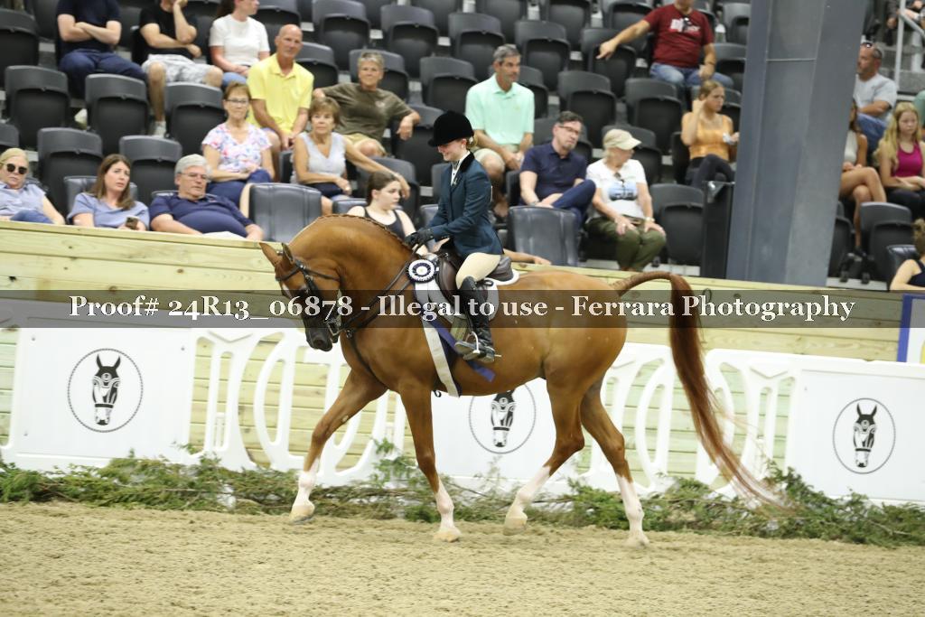 Proof 24R13_06878