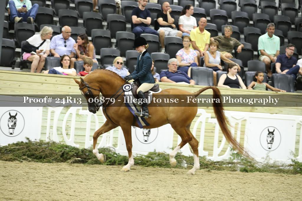 Proof 24R13_06879