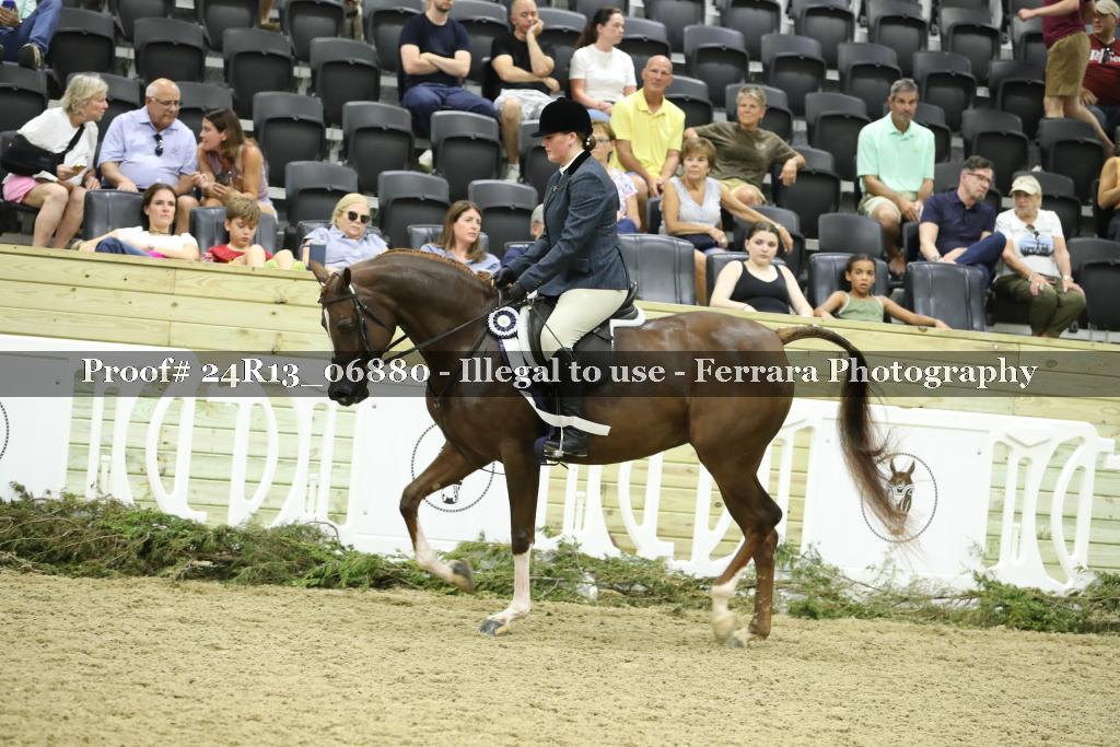 Proof 24R13_06880