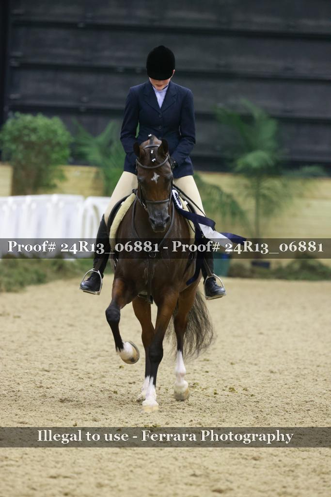 Proof 24R13_06881