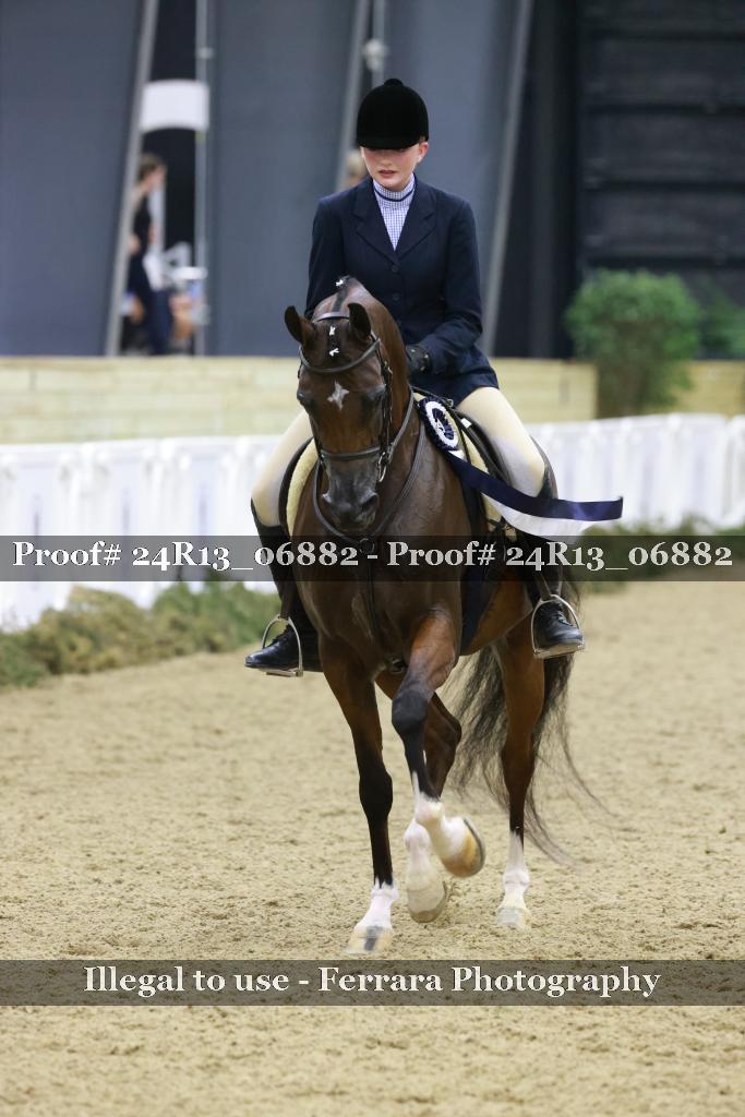 Proof 24R13_06882