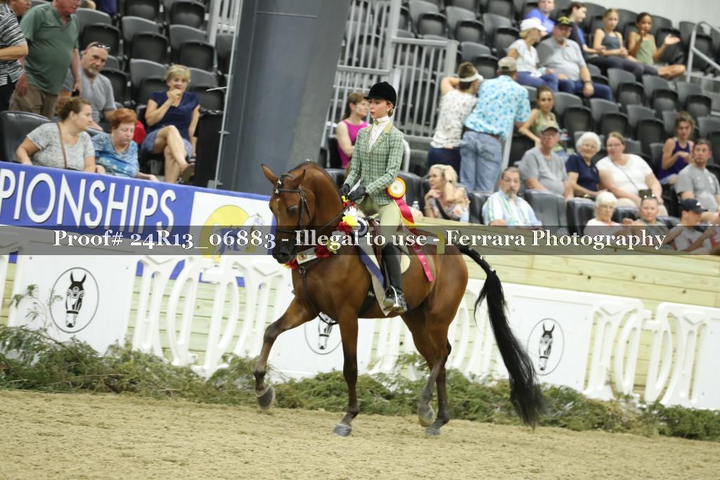 Proof 24R13_06883