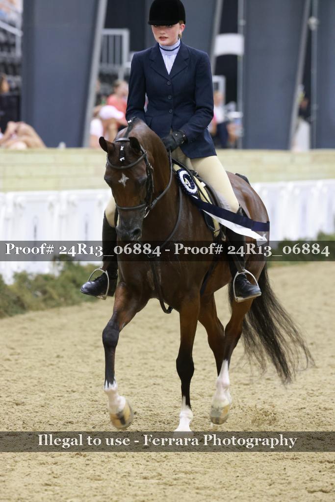 Proof 24R13_06884