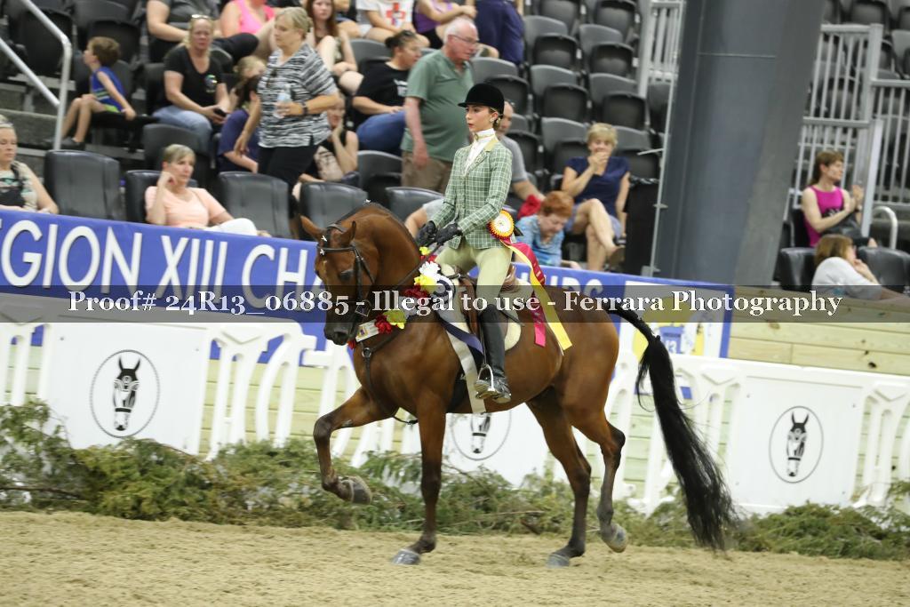 Proof 24R13_06885