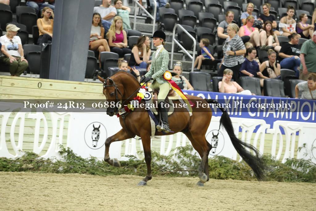 Proof 24R13_06886