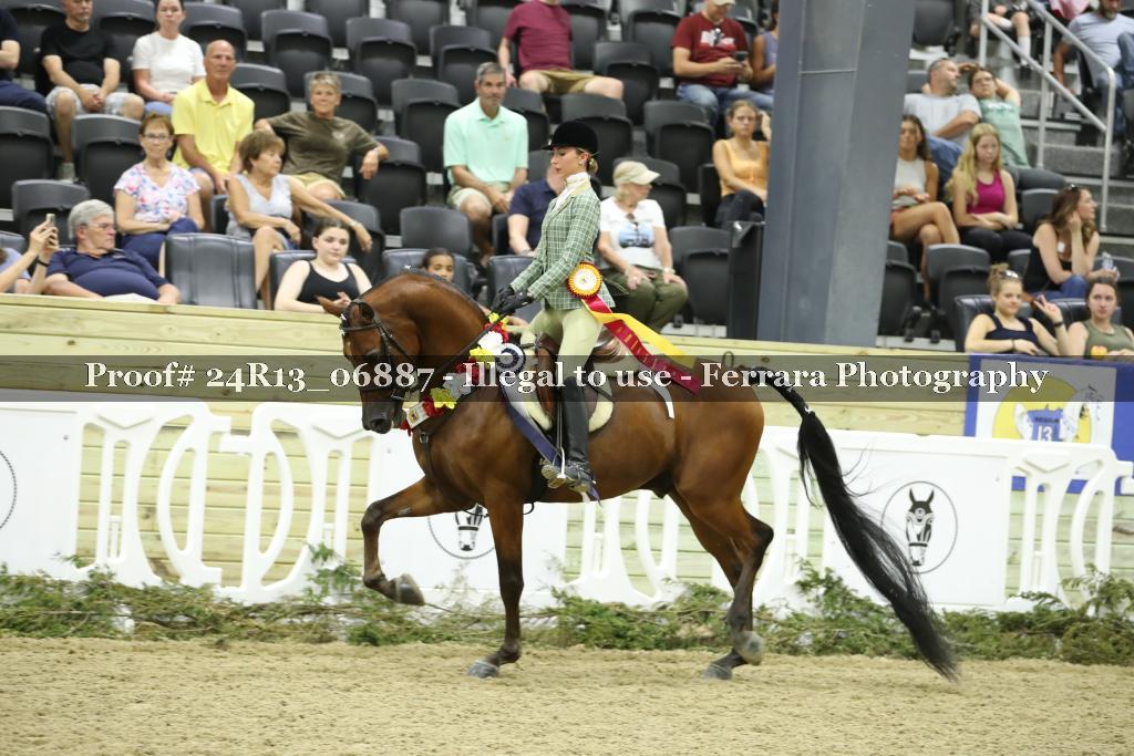 Proof 24R13_06887