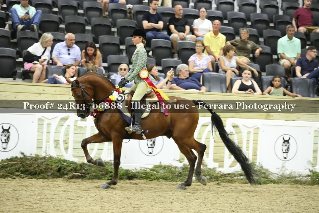 Proof 24R13_06888