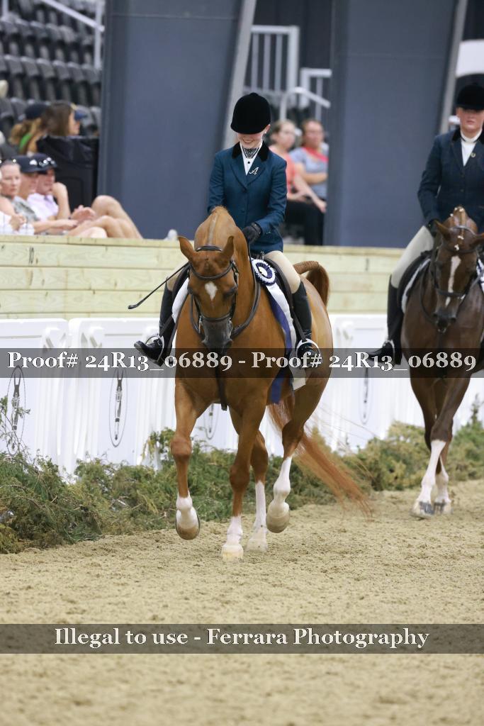 Proof 24R13_06889