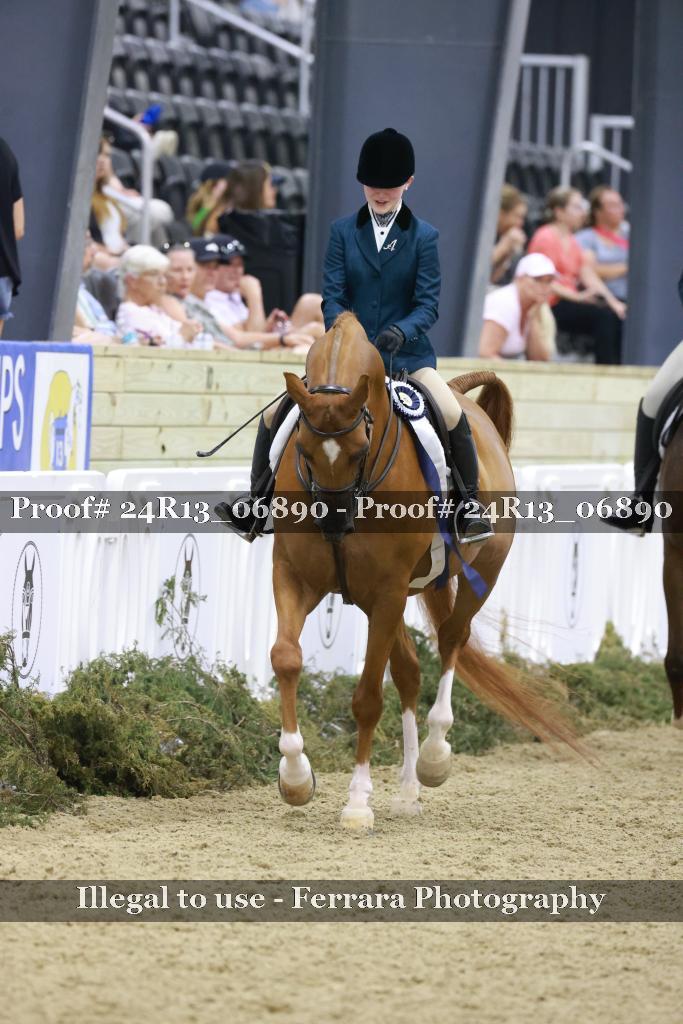 Proof 24R13_06890