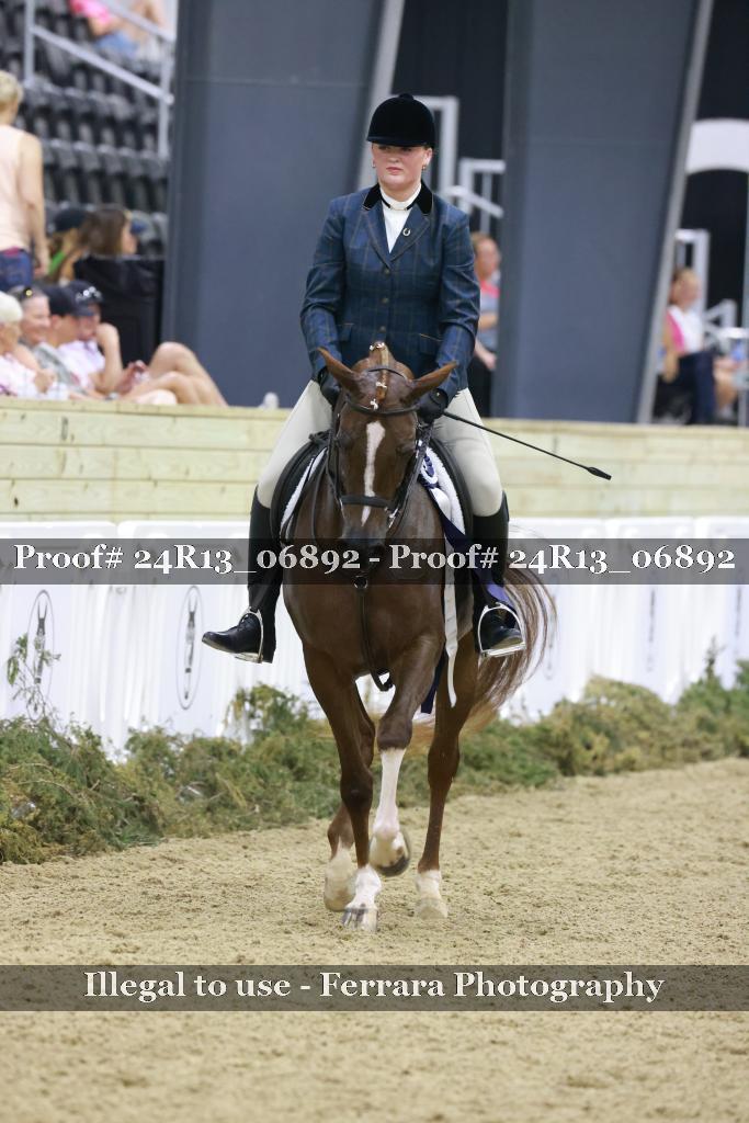 Proof 24R13_06892