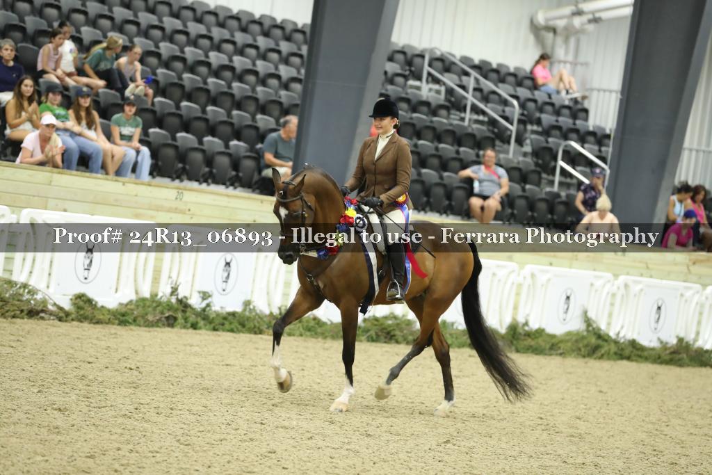 Proof 24R13_06893