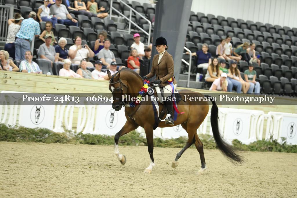 Proof 24R13_06894