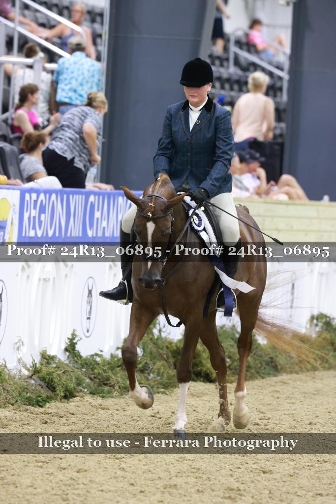 Proof 24R13_06895
