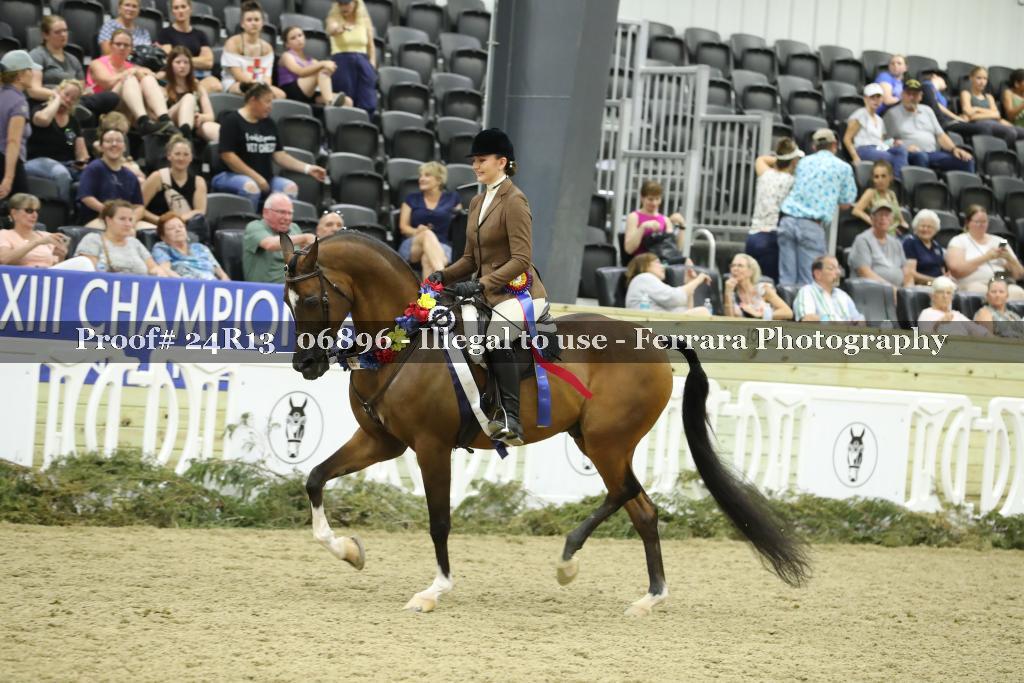 Proof 24R13_06896