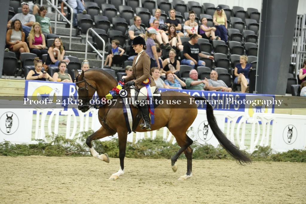 Proof 24R13_06897