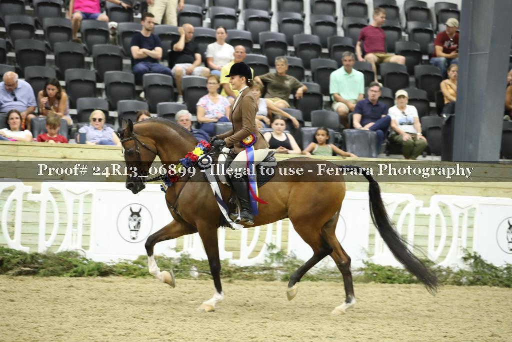 Proof 24R13_06899