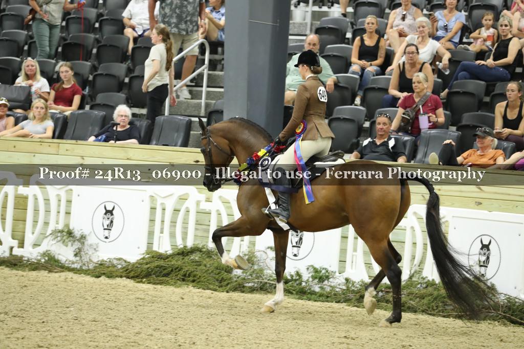 Proof 24R13_06900