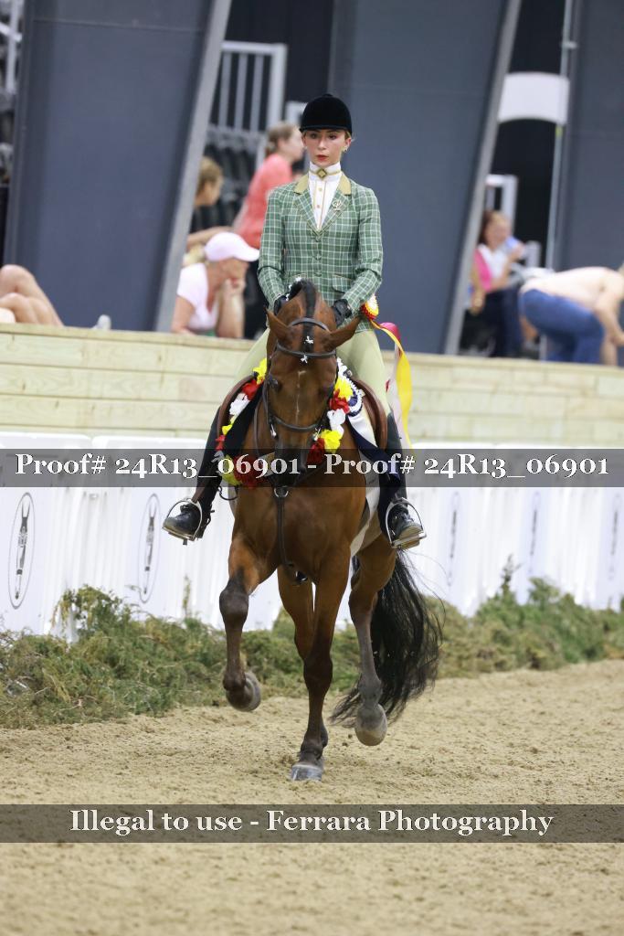 Proof 24R13_06901