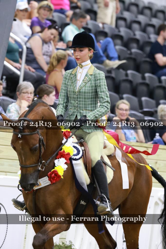 Proof 24R13_06902