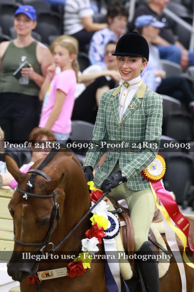 Proof 24R13_06903