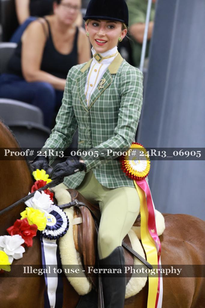 Proof 24R13_06905