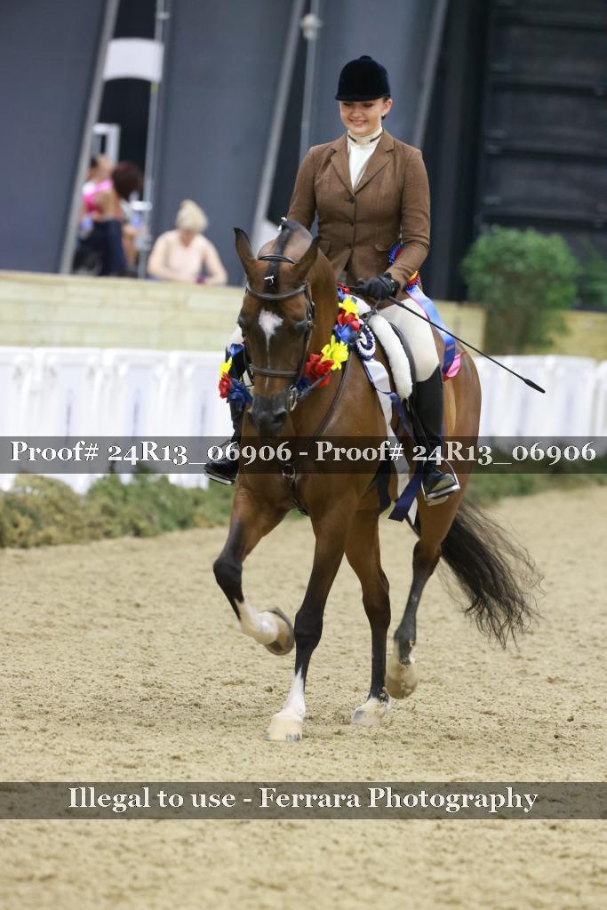 Proof 24R13_06906