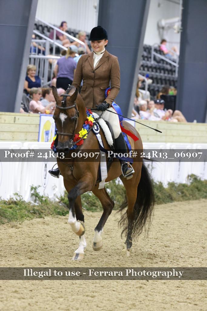 Proof 24R13_06907